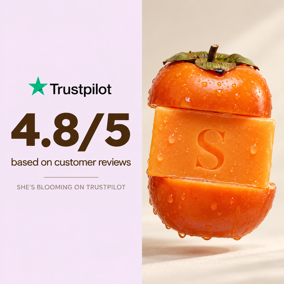 Deodorizing Persimmon Soap